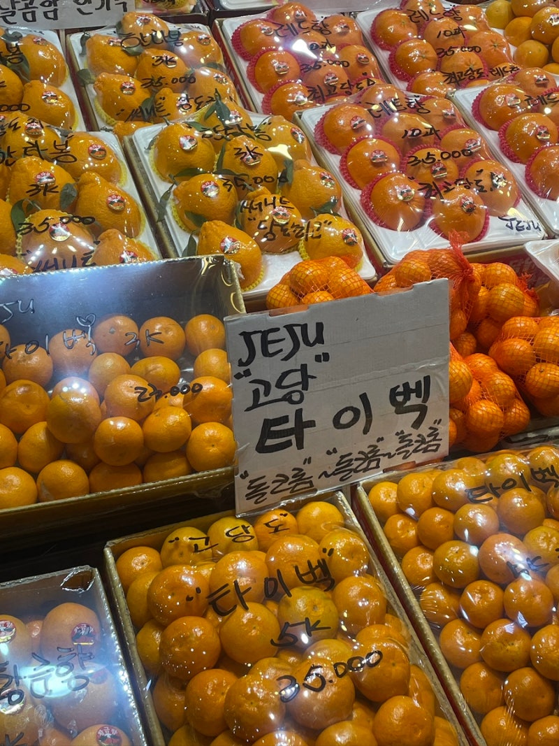 제주 동문시장 영희수산 노지귤 구매 후기｜겨울 제주도 여행 감귤 택배 추천