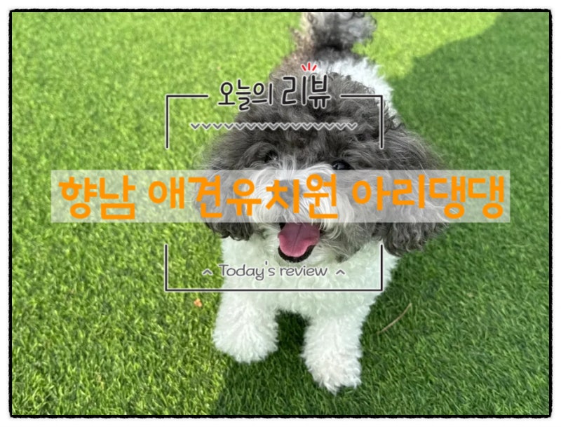 아리댕댕 향남점