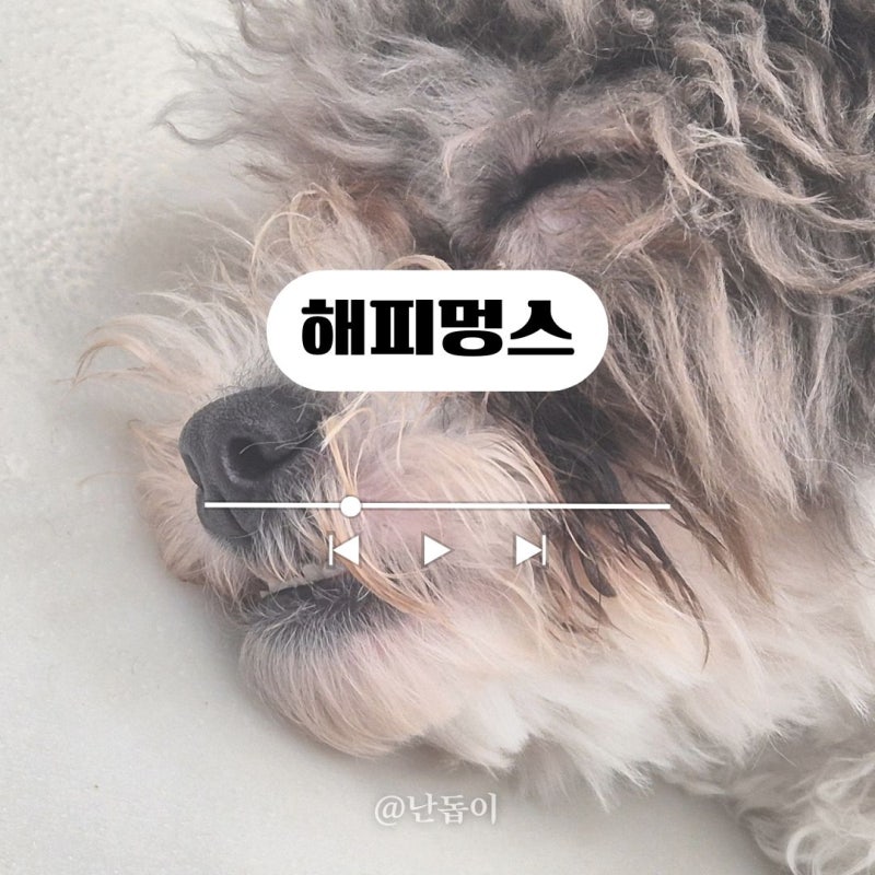 사진 2