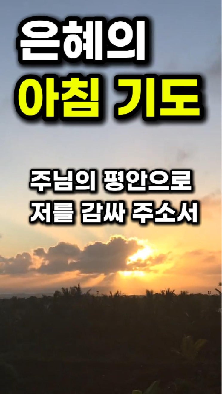  은혜의 아침, 주님께 온전히 맡기는 기도 아침을 여는 기도문