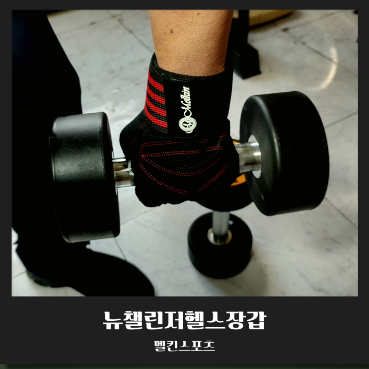  멜킨 헬스장갑 추천, 뉴챌린저로 고중량 손목 통증 탈출! (feat. TPU 덤벨 조합)