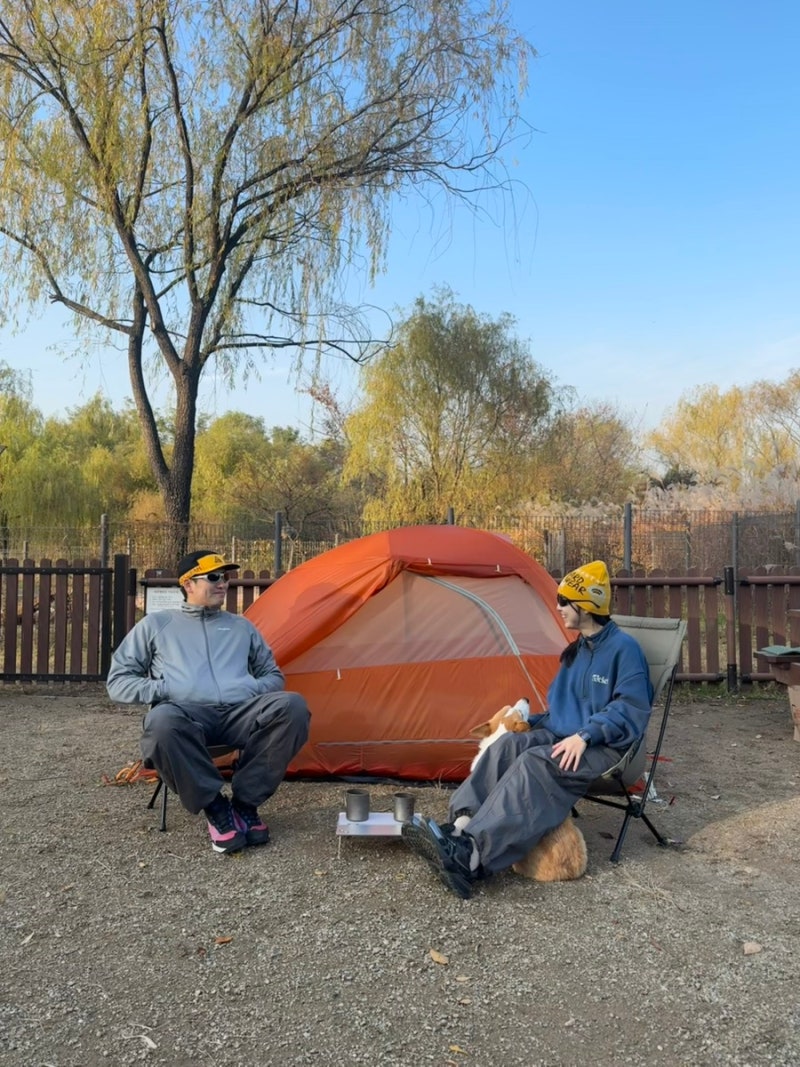 서울 노을캠핑장 예약 방법 / 반려견 동반캠핑 후기 / 첫 백패킹