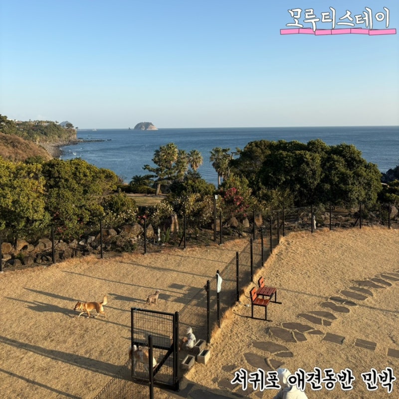 사진 3