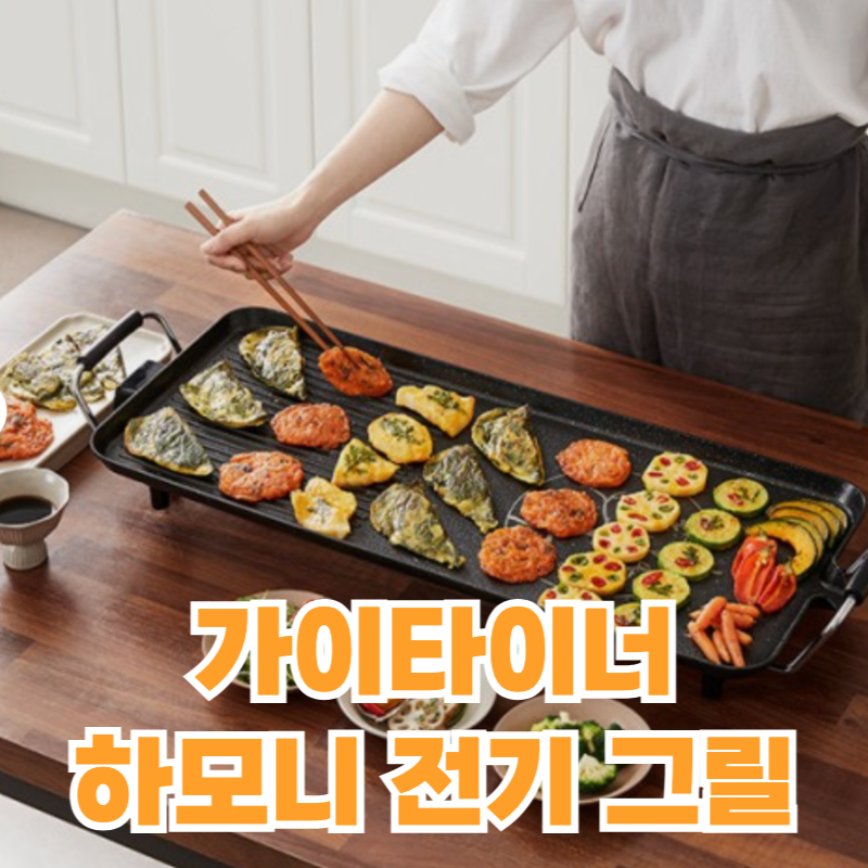 가이타이너 하모니 전기 그릴 후기! 대형 잔치팬 추천