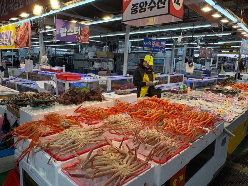 대구 매천 수산 시장 대게 먹고 왔어요(대게 시세,영업시간,회,초장집)