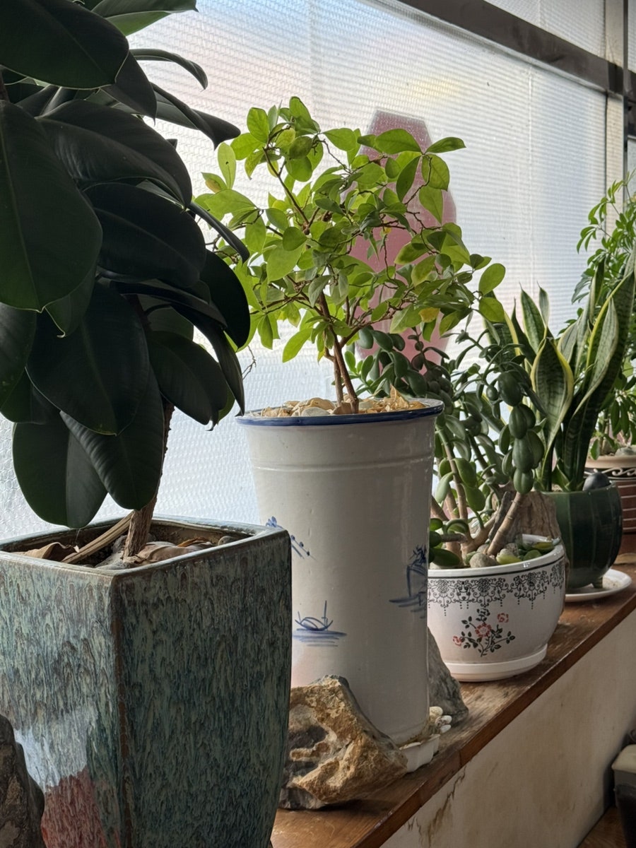 만선 사진 5