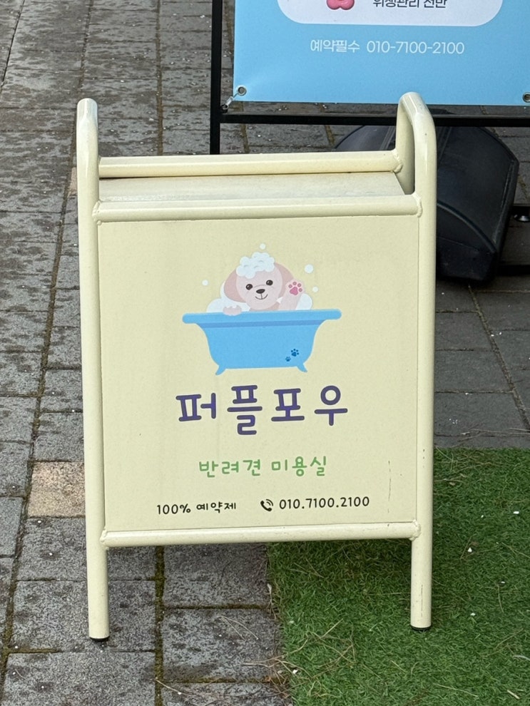  송파애견미용 맛집으로 소문난 퍼플포우에서 인형으로 환골탈태하고 온 후기