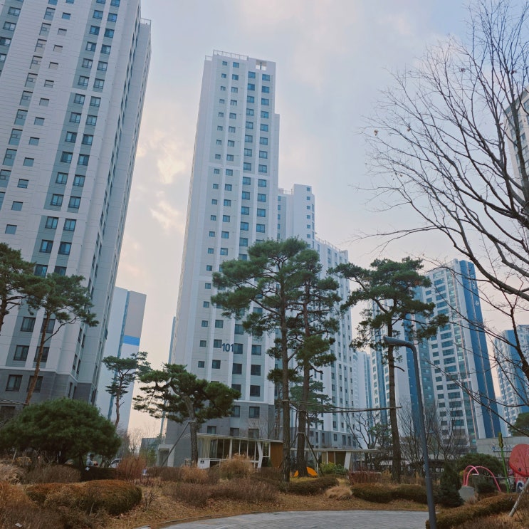  고양시 덕양구 덕은지구 아파트 DMC자이더리버 임장 후기