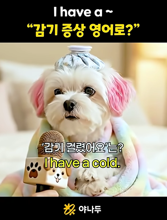 영어회화 필수표현! 병원 가기 전 꼭 봐야 할 감기 영어로, 아플 때 표현까지 한 번에 정리