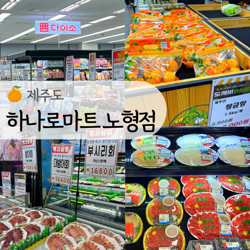 제주 하나로마트 노형점 제주공항 근처 바베큐 장보기 (다이소, 흑돼지, 방어회, 딱새우)
