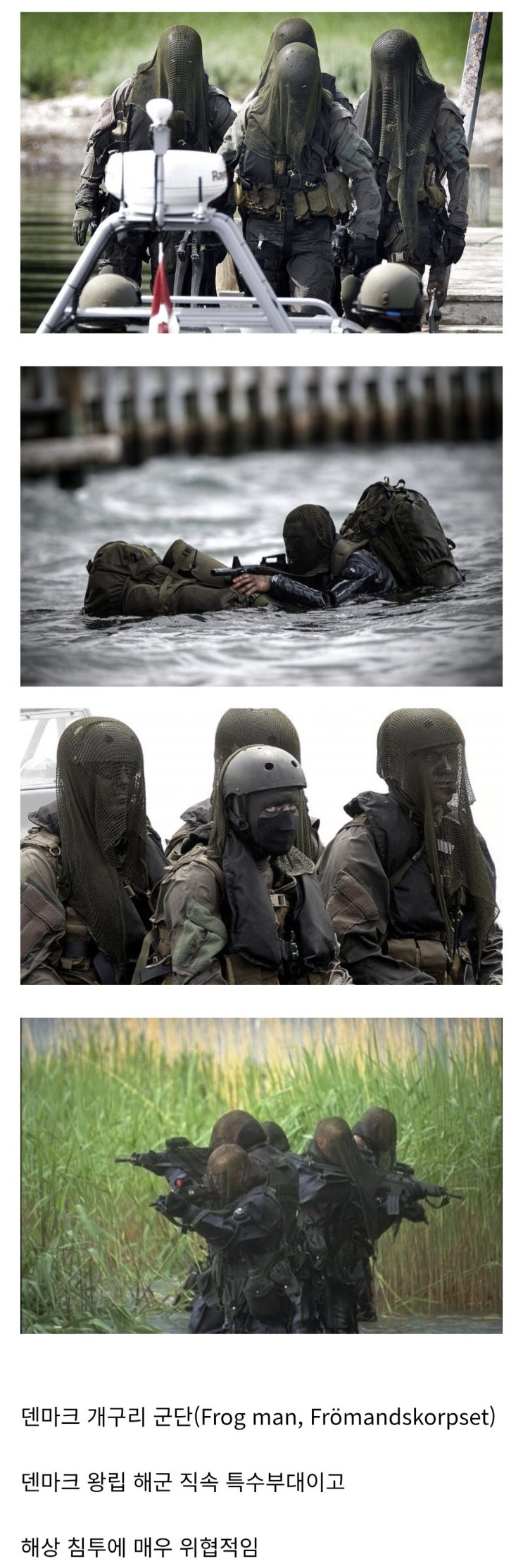  덴마크 특수부대 특징.jpg
