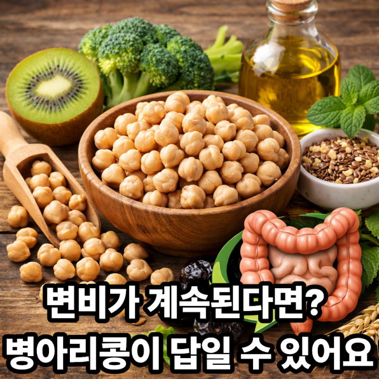   병아리콩이 변비 개선에 좋은 이유｜장 건강부터 배변 리듬까지