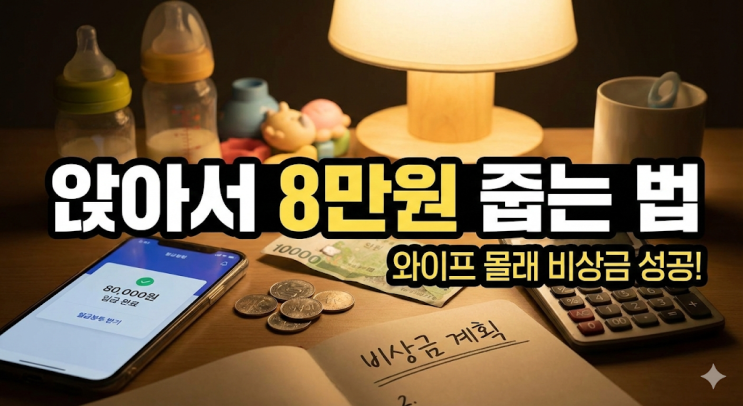  [30대 쌍둥이 아빠의 짠테크, 앉아서 8만원 줍는 법 (ft. 와이프 몰래 비상금 만들기)]