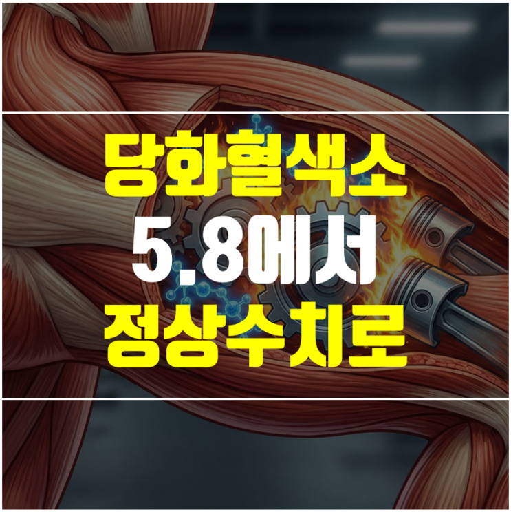  당화혈색소 5.8에서 정상수치로 낮추는 방법