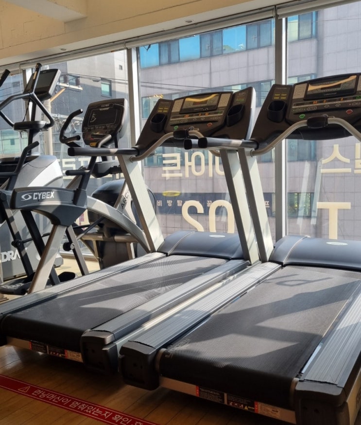  신논현역 헬스장 골든바디넘버원 한진희 트레이너님 근막이완 후기