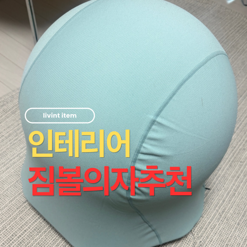 짐볼의자인데 ‘인테리어’가 되는 차이 코어 밸런싱 짐볼체어