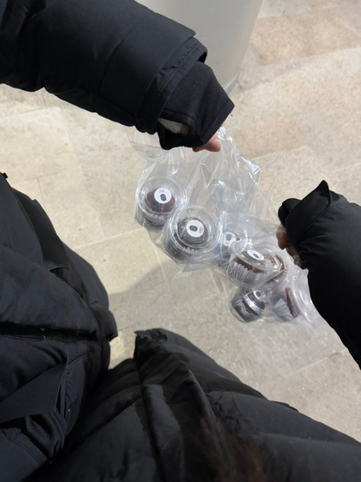  두친자의 1月 직장인 일상