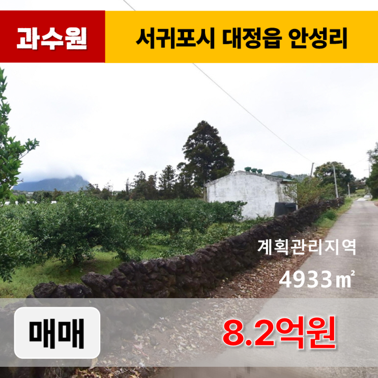  《제주도토지 매매》 서귀포시 대정읍 안성리 과수원 매매