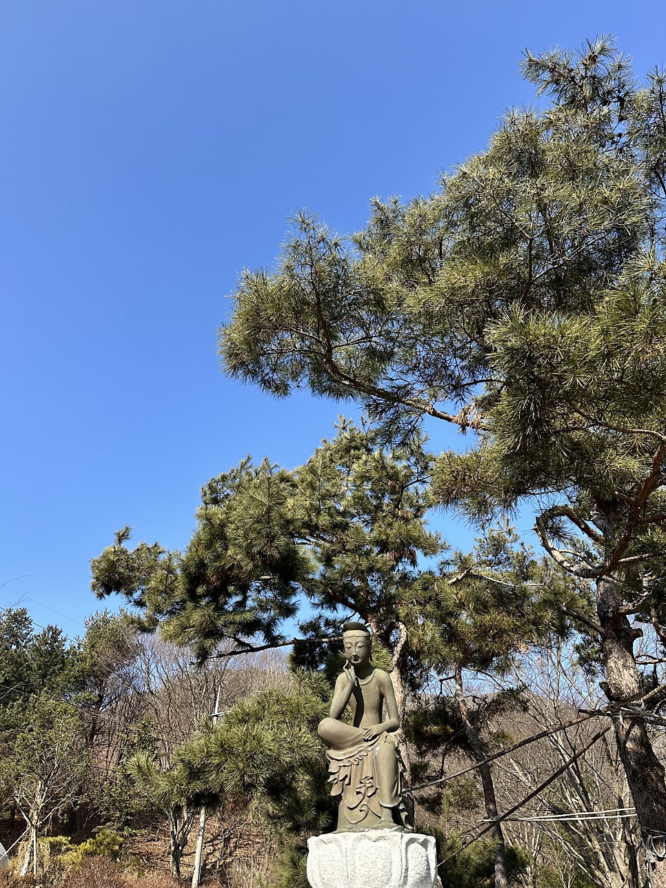 낭구네 사진 2