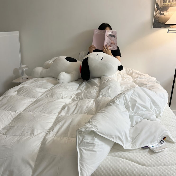 겨울이불 먼지없는 발열 포렌 이불, 직접 써보니 달랐던 점