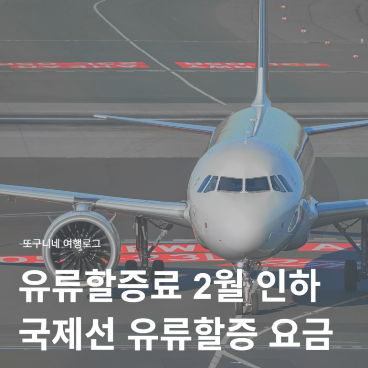  유류할증료 2월 인하 예정! 대한항공 아시아나 국제선 유류할증 요금 총정리