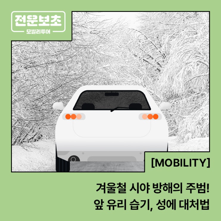  [전운보초] 겨울철 시야 방해의 주범! 자동차 앞 유리 성에, 습기 대처법 알아보기