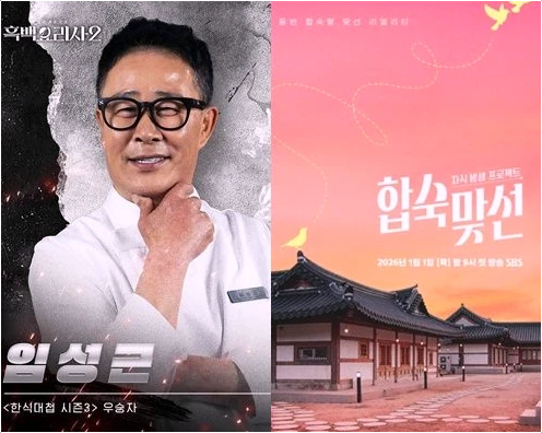  일반인 예능 출연자 검증 리스크 범죄 이력 논란 총정리