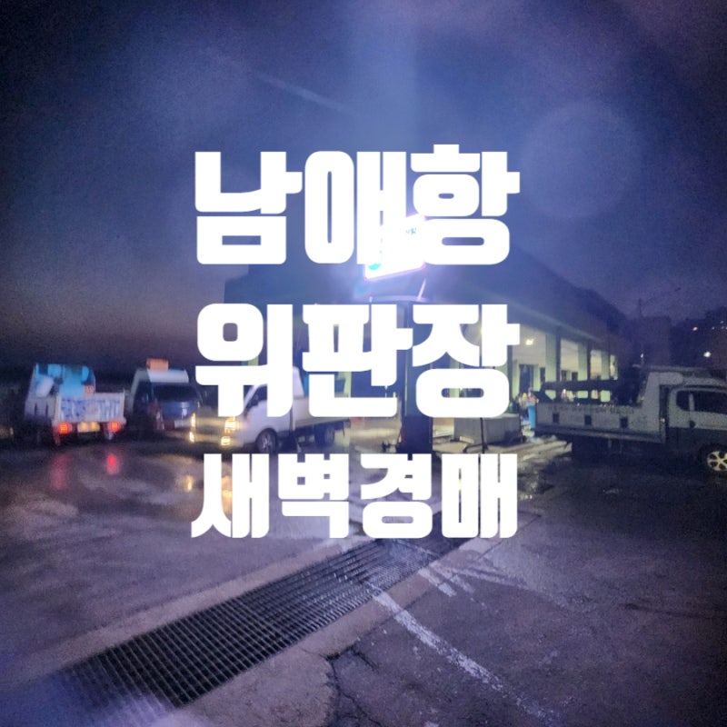 사진 5