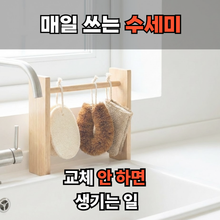  주방 수세미 교체 주기, 한 달이 마지노선인 이유 (ft. 살균 소독법)