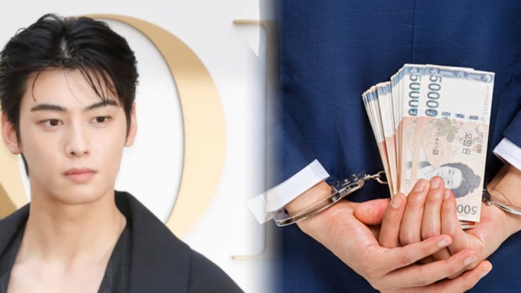   “차은우 탈세 의혹 정리｜페이퍼컴퍼니 통한 소득 분산 논란? 세금 미납 규모까지 한눈에”