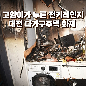 고양이가 누른 전기레인지…대전 다가구주택 화재가 던진 경고