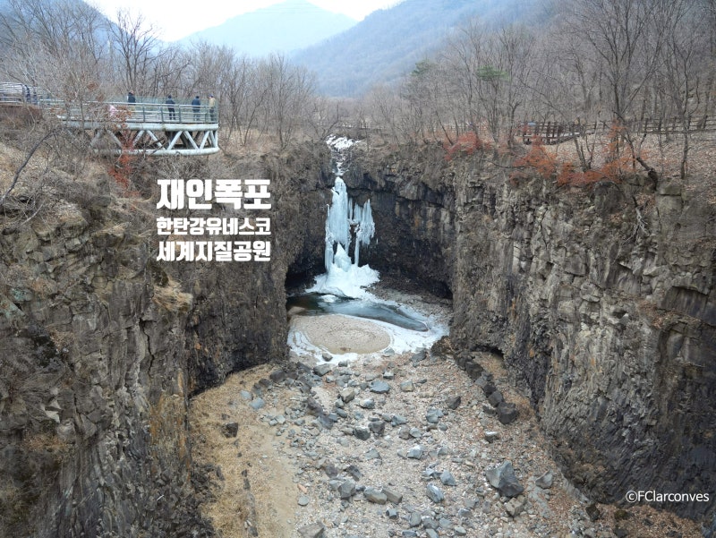 사진 5