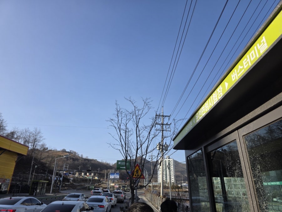 하이원리조트 눈썰매장 사진 1