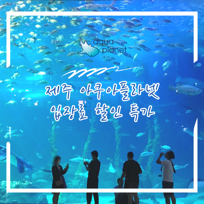한화 아쿠아플라넷 제주 입장료 할인 특가 ! 제주 아쿠아리움 가격 할인 총정리