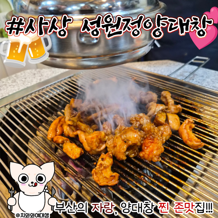  사상 곱창 맛집 성원정양대창 부산 사상역 전골