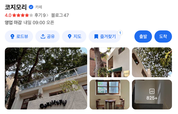 사진 5