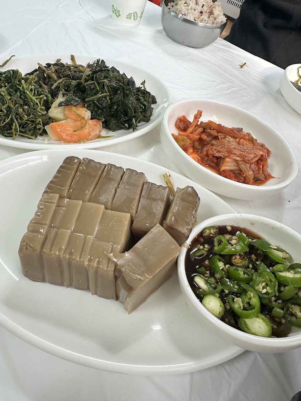 낭구네 사진 6
