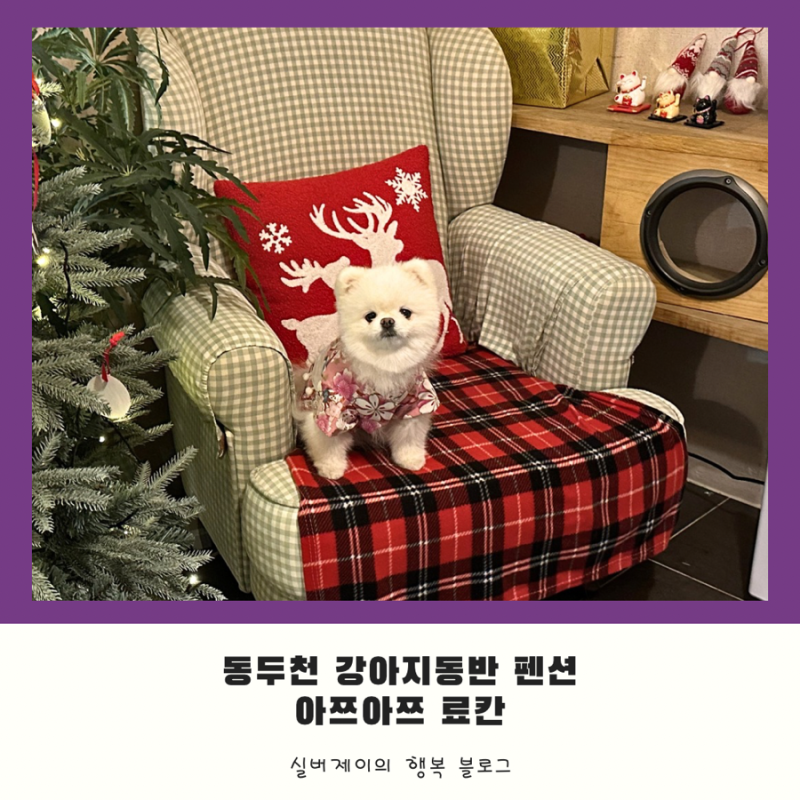 사진 4
