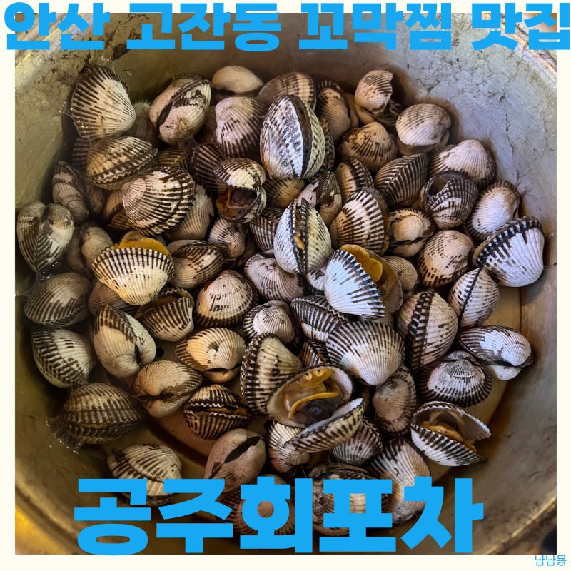 안산 고잔동 꼬막찜 맛집 공주회포차 다양한 안주 신상 핫한 술집 추천