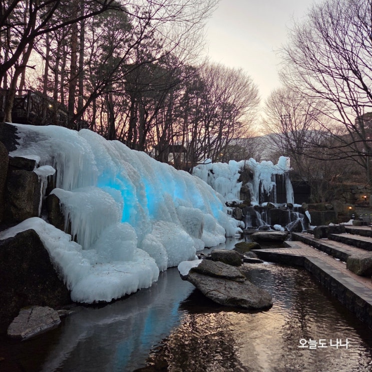  곤지암리조트 숙소 식당 둘러보기! 곤지암리조트 프라임 투숙 후기 :D