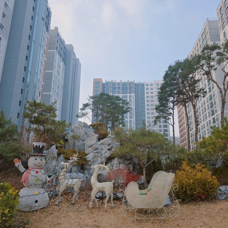  고양시 덕은지구 아파트 DMC한강숲 중흥S클래스 임장 후기