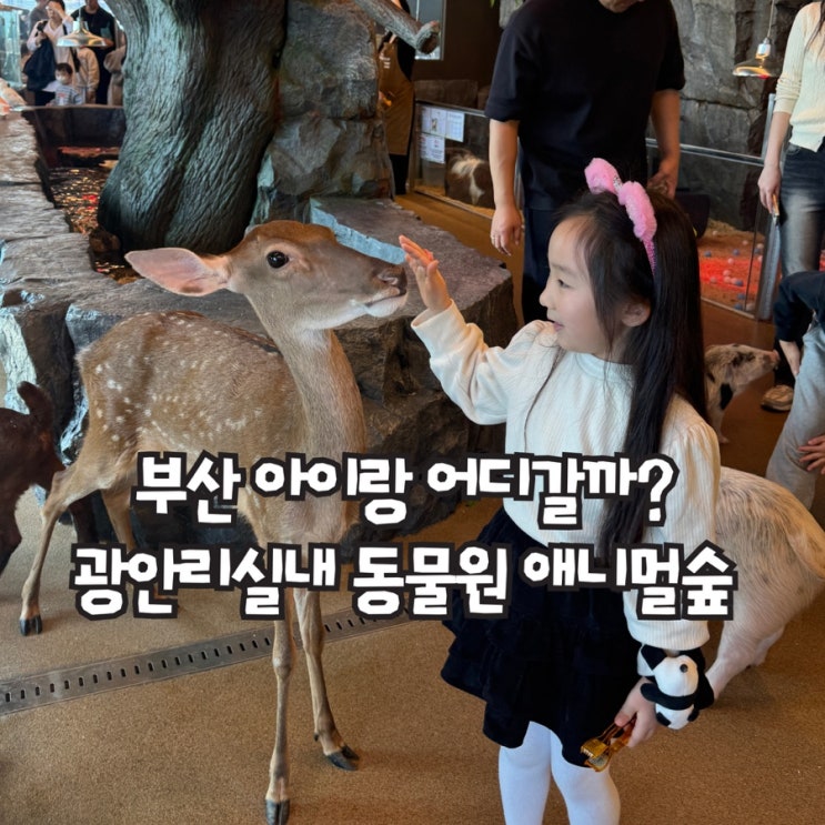  부산 아이랑 가볼만한곳, 광안리 실내 동물원 애니멀숲 아이와 체험하기 좋은 공간