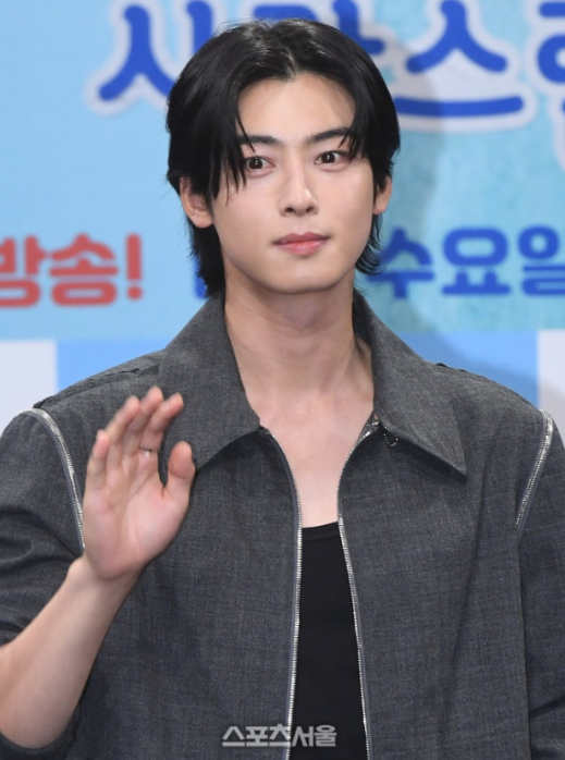   차은우 200억 탈세 의혹?! 소속사 "모친 법인 실체 적극 소명하겠다"