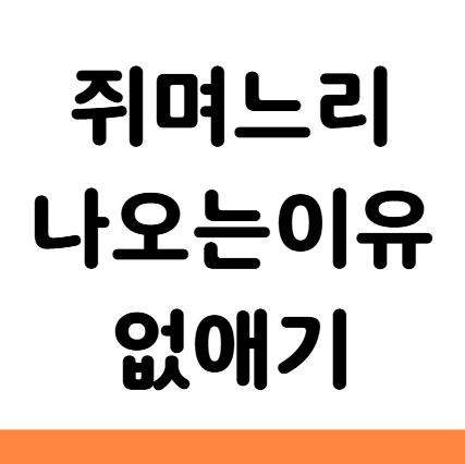  쥐며느리 나오는 이유 원인 퇴치 없애기