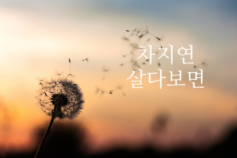 [현역가왕 3] 5회 시청후기, 오!미소자매 살다보면 (원곡:차지연) 노래 가사, 노래 듣기, 쉬운 ....