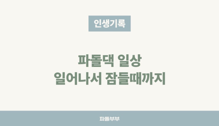  반백수 파돌댁의 하루 일상 루틴