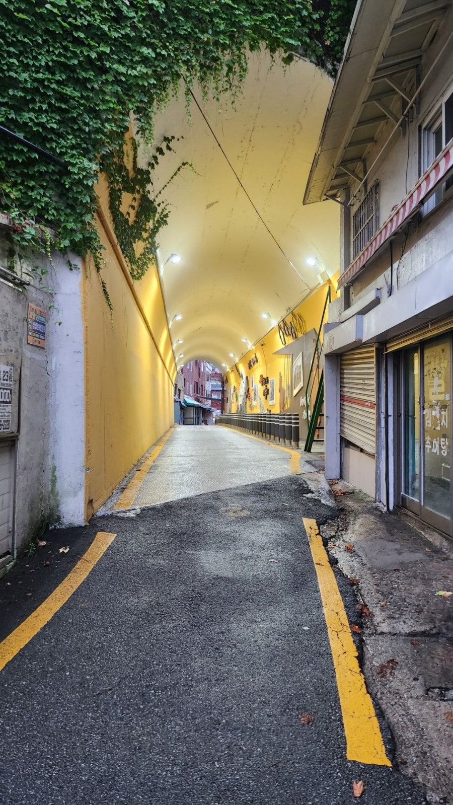 순대집 사진 1