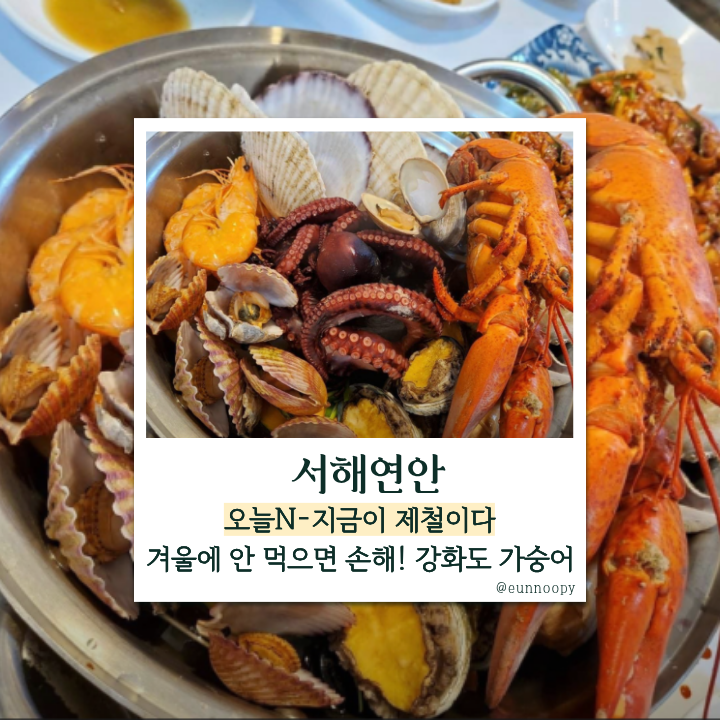 서해연안 사진 1