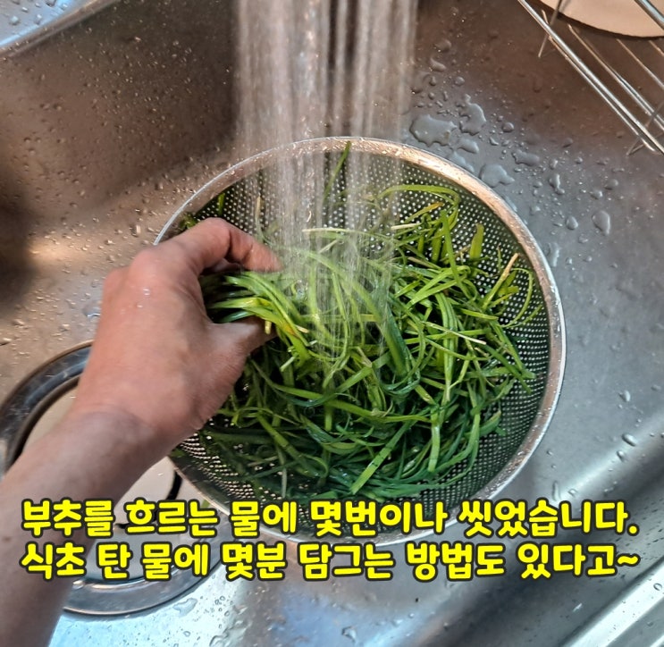  중년 남자의 좌충우돌 요리 : 멸치국수,비빔국수,장국수,부추전