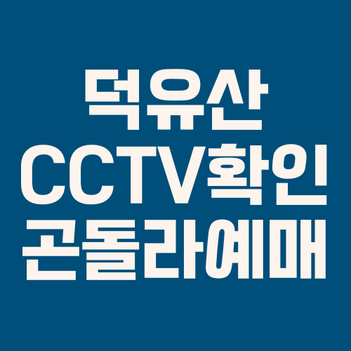 무주 덕유산 실시간 CCTV 확인 및 곤돌라·케이블카 예약하기
